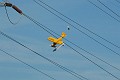Chopper Bob High Wire2